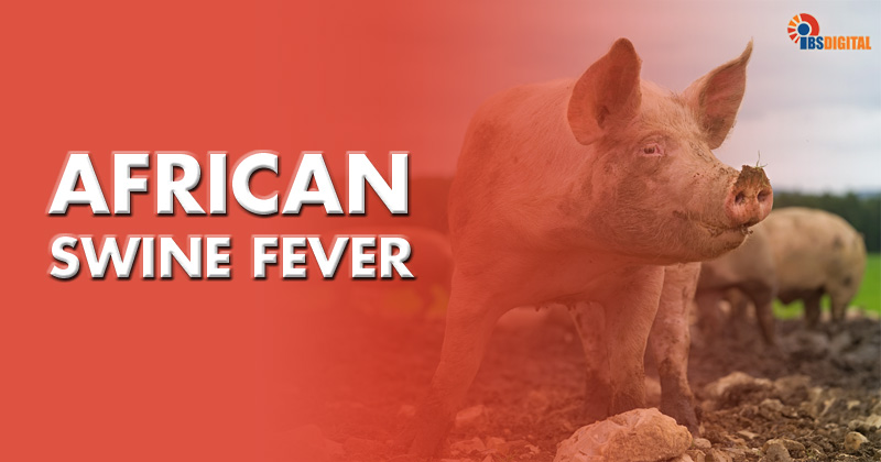 African Swine Fever updates