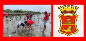 SMC Mangrove