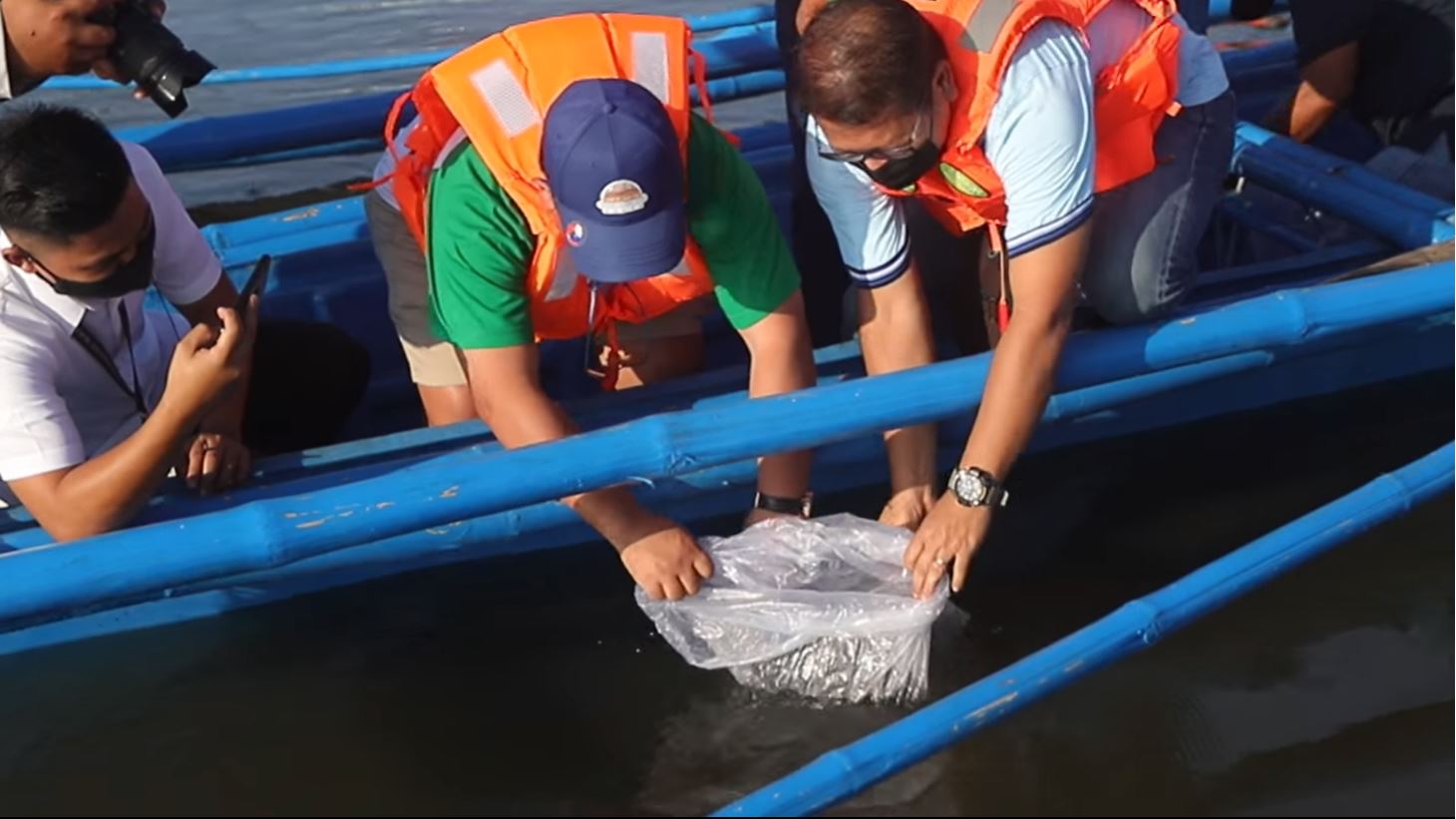 MORE Power President Roel Z. Castro released 370 juvenile Lapu-Lapu fishes in the Iloilo River