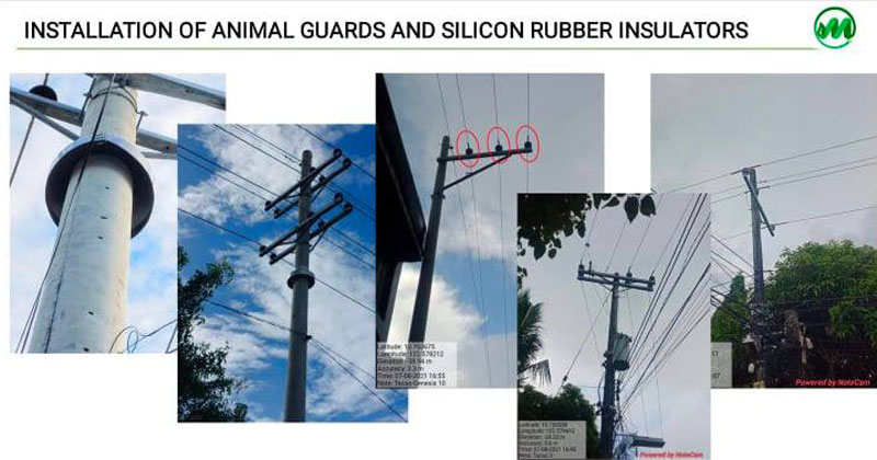 Animal guards and silicon rubber insulators protect the feeder line from wildlife intrusion.