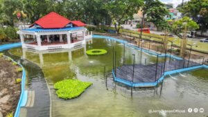 Koi Pond in Plaza La Paz