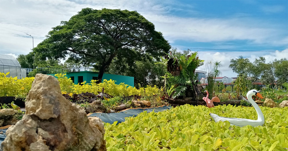 Garden pond in Iloilo City Garden of Love.