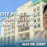 Iloilo City Peace and Order Council 100% Functional