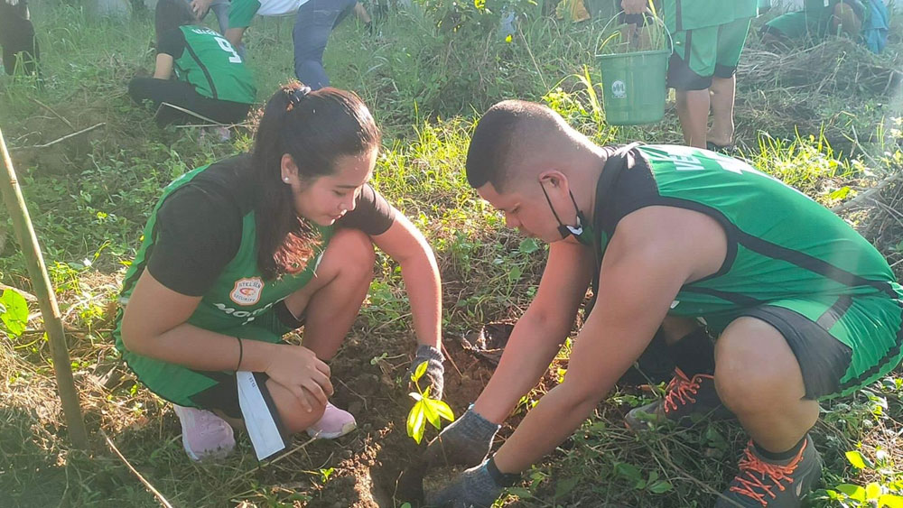 More power tree planting in Lapaz