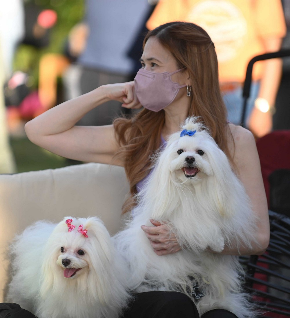 Miss Tisha San Agustin and her maltese babies, Logan and Storm are now entitled for exclusive access to extraordinary events, incredible privileges, and exclusive gifts as Super Pets Club members.