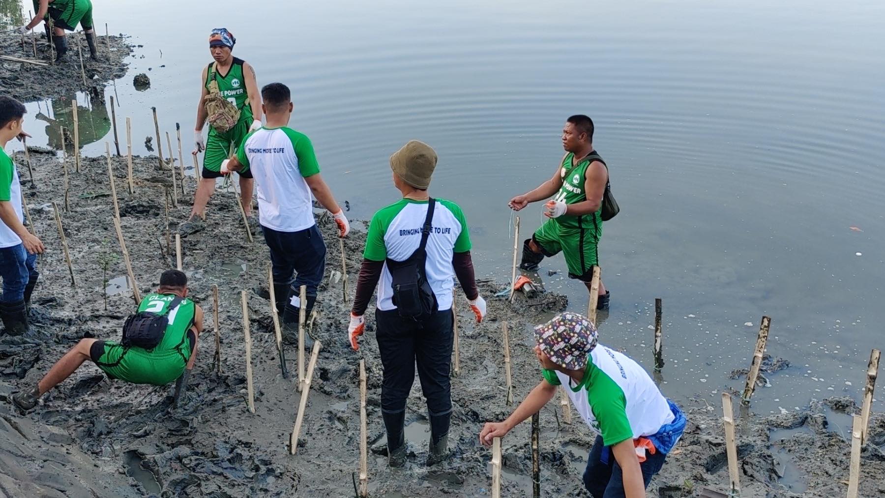 Mangrove planting in Iloilo River