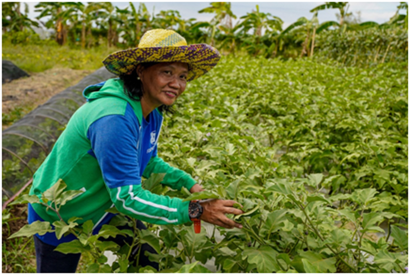 Iloilo City farmer Rita Soltis proudly shows her vibrantly green vegetable garden.