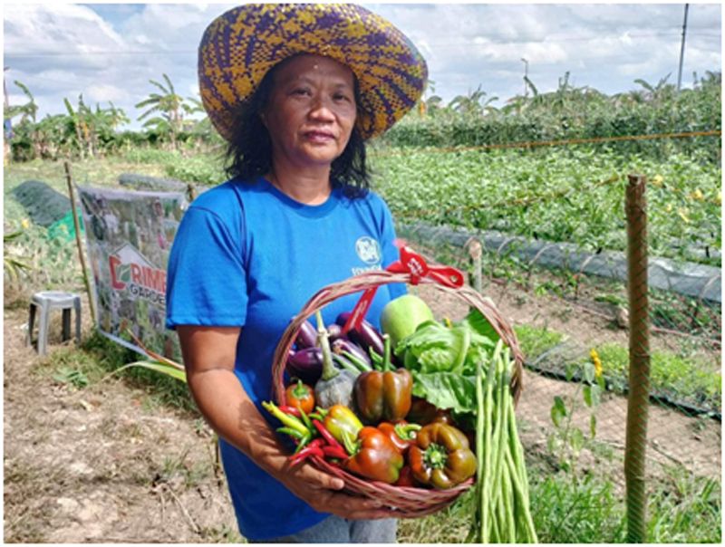 SM farmer-beneficiary Rita Soltis reaps the fruits of the Kabalikat sa Kabuhayan training program with a bountiful harvest.