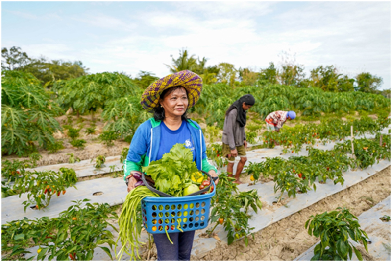 SM farmer-beneficiary Rita Soltis reaps the fruits of the Kabalikat sa Kabuhayan training program with a bountiful harvest.