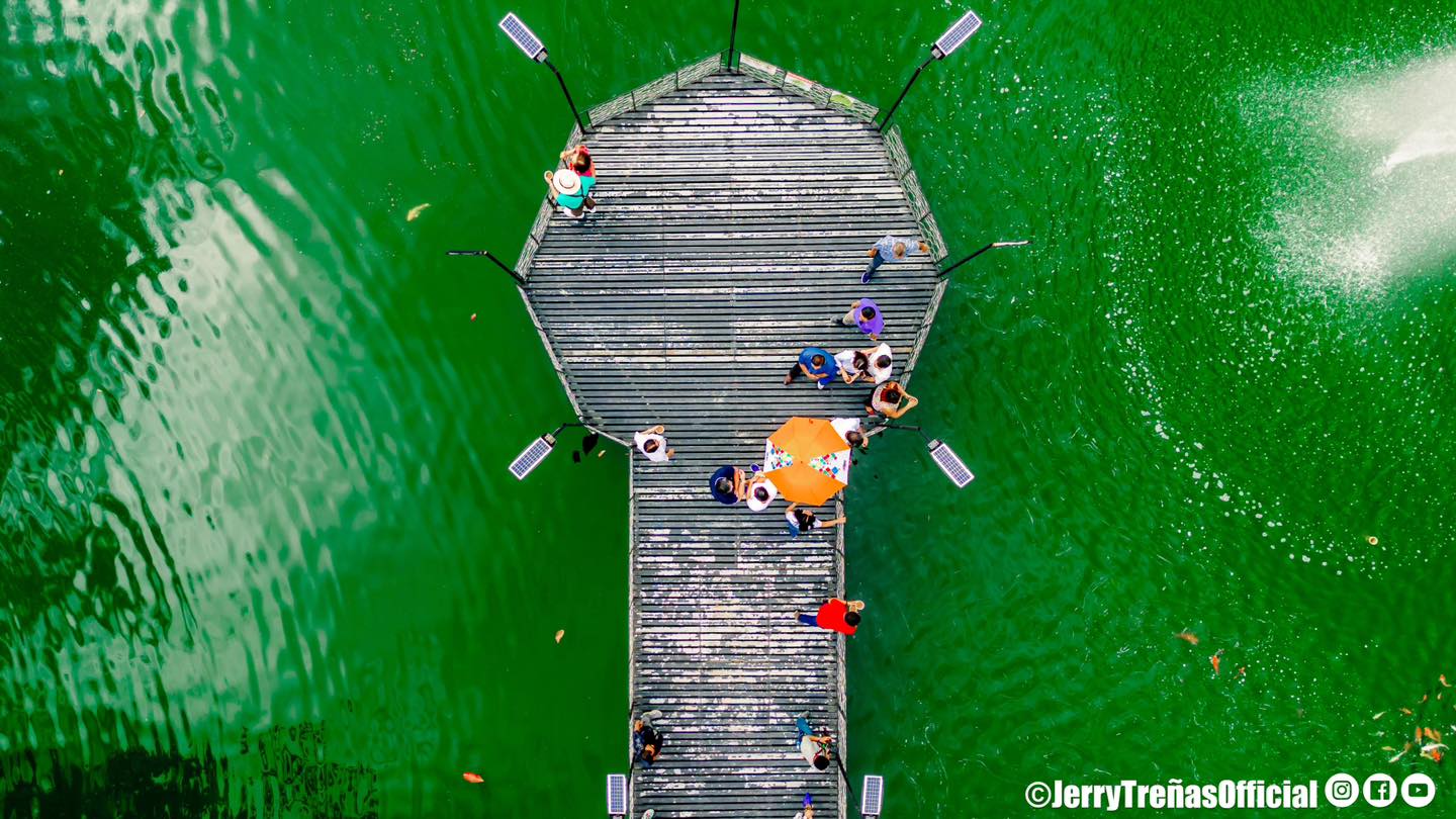 Koi Pond in Plaza La Paz
