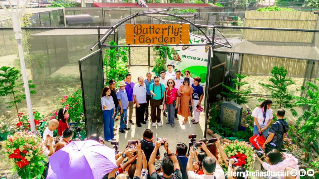 Butterfly garden in Plaza La Paz