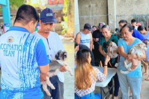 pet vaccination