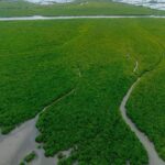 Iloilo City Recognized as Global Role Model for Ecosystem Restoration