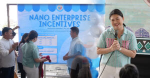 nano enterprise incentives ordinance