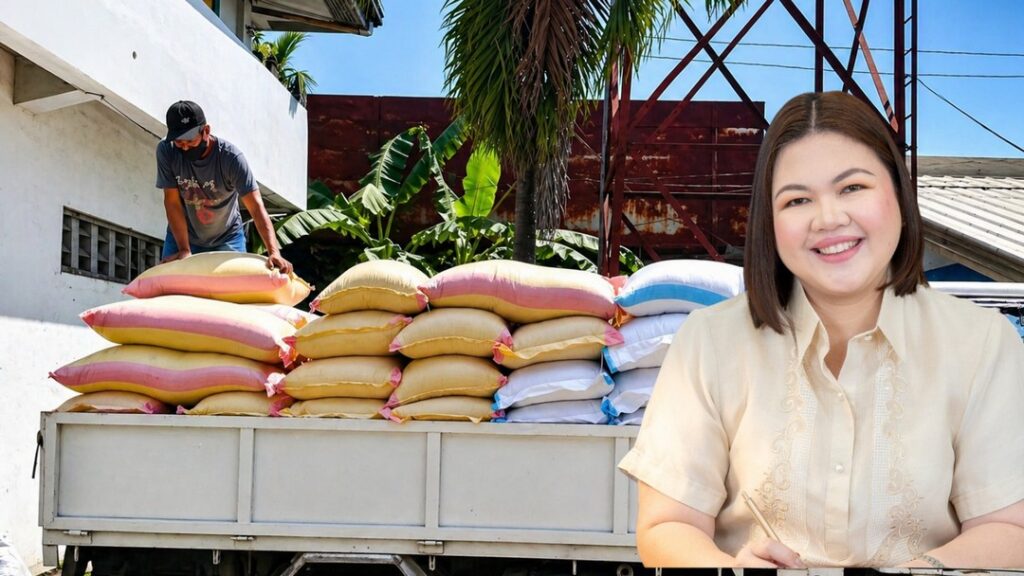 rice subsidy