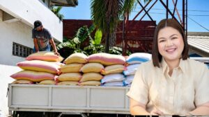rice subsidy