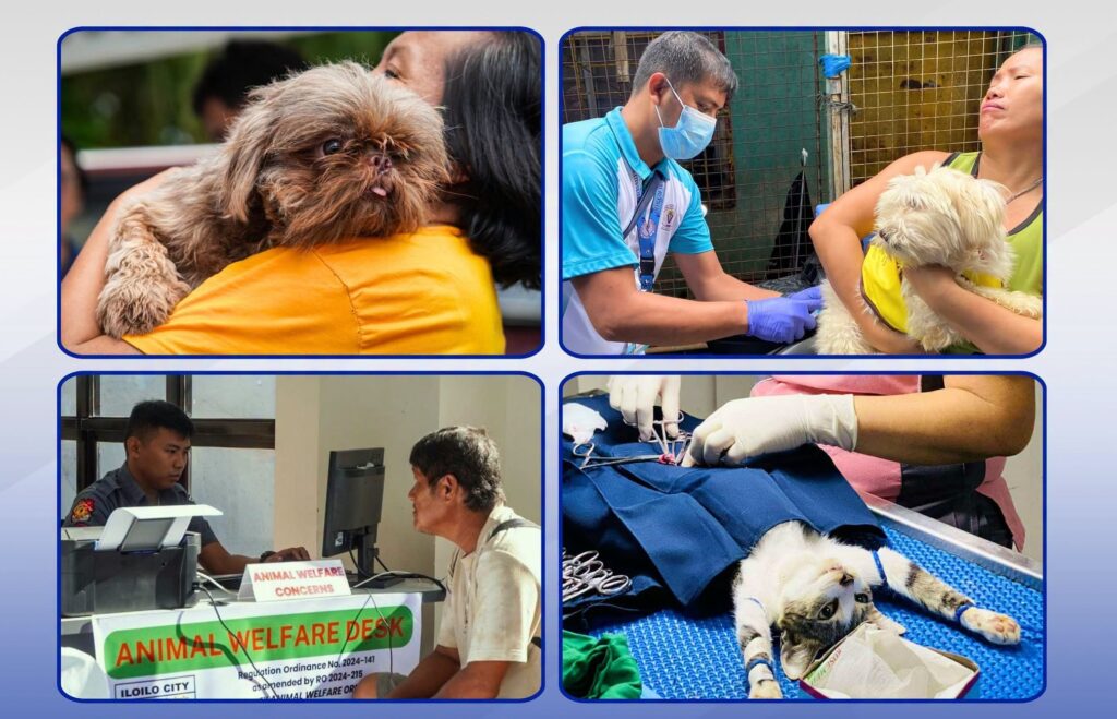 animal welfare