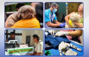animal welfare