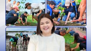tree planting activity