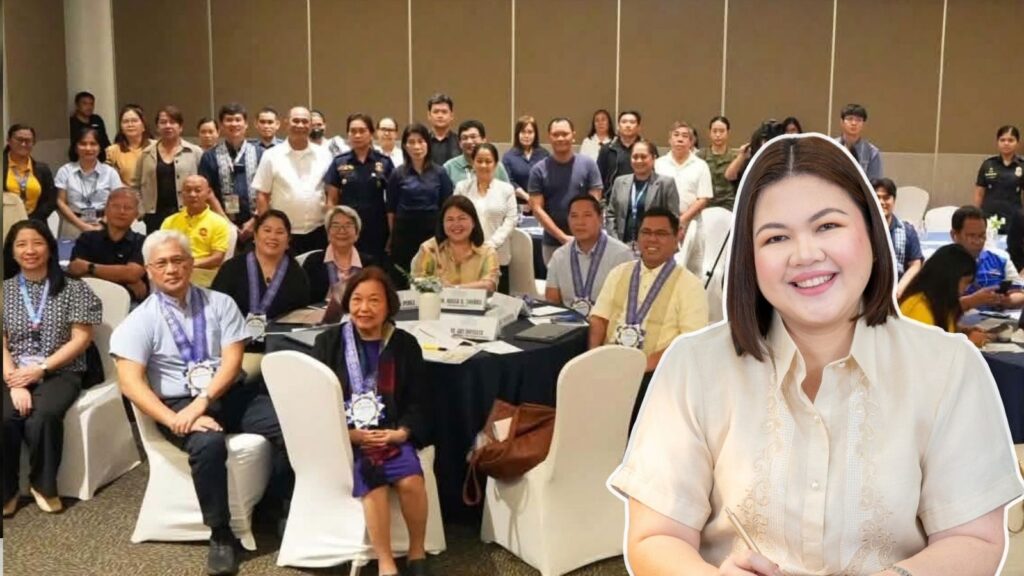 disaster resilience summit