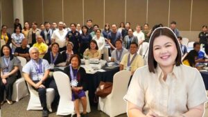 disaster resilience summit
